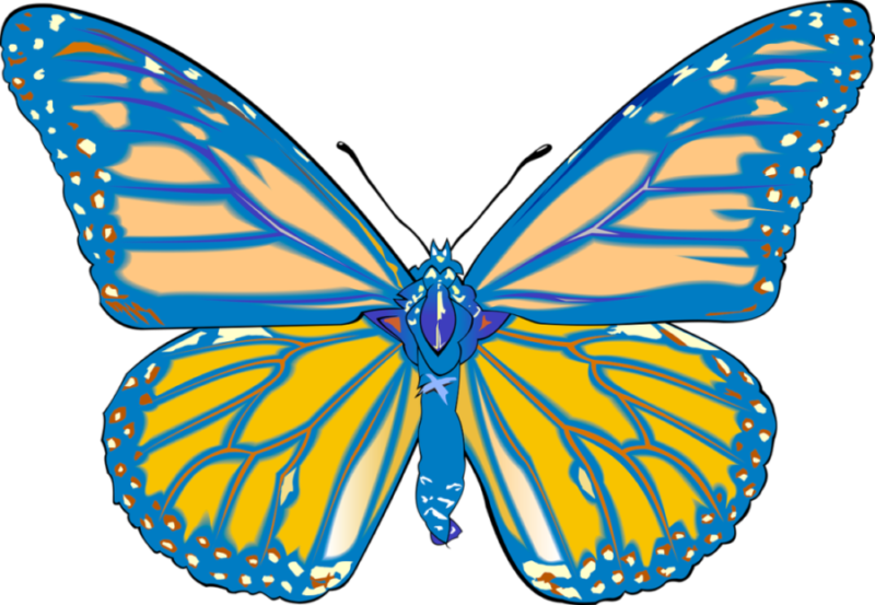 Stephan's Butterfly Mascot